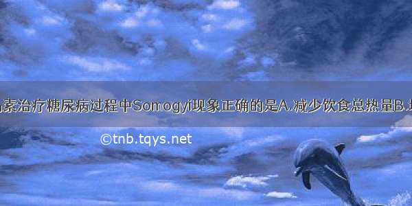 关于处理胰岛素治疗糖尿病过程中Somogyi现象正确的是A.减少饮食总热量B.增加胰岛素剂