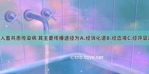 布鲁菌病为人畜共患传染病 其主要传播途径为A.经消化道B.经血液C.经呼吸道D.经皮肤 