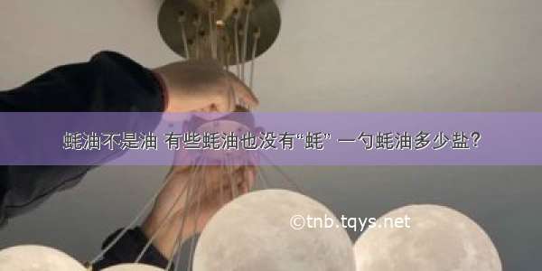 蚝油不是油 有些蚝油也没有“蚝” 一勺蚝油多少盐？