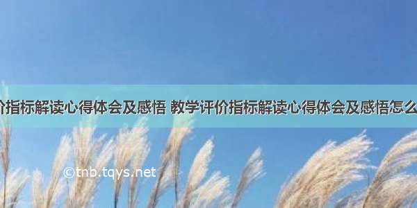 教学评价指标解读心得体会及感悟 教学评价指标解读心得体会及感悟怎么写(八篇)