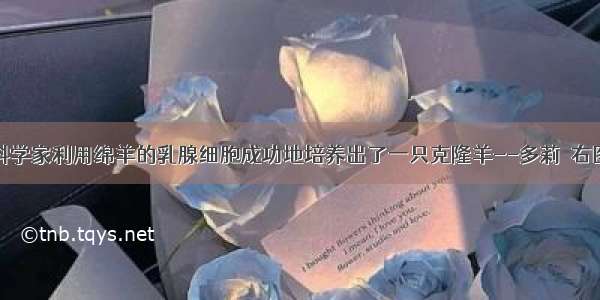 1996年英国科学家利用绵羊的乳腺细胞成功地培养出了一只克隆羊--多莉．右图是克隆过程