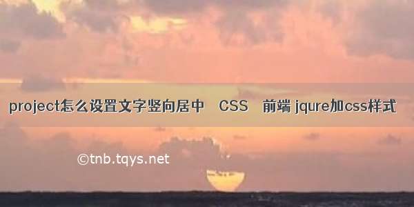 project怎么设置文字竖向居中 – CSS – 前端 jqure加css样式