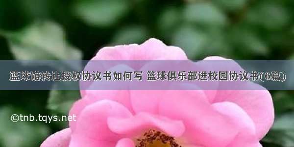 篮球馆转让授权协议书如何写 篮球俱乐部进校园协议书(6篇)