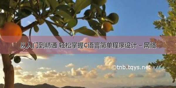 从入门到精通 轻松掌握C语言简单程序设计 – 网络