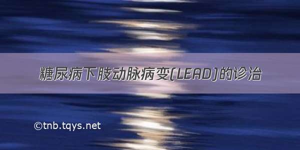 糖尿病下肢动脉病变(LEAD)的诊治