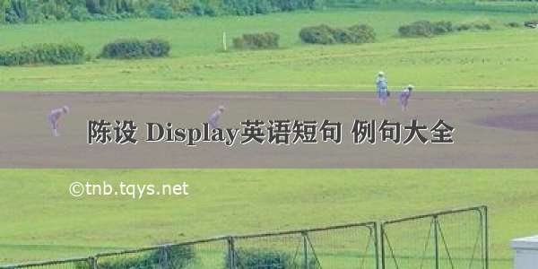 陈设 Display英语短句 例句大全