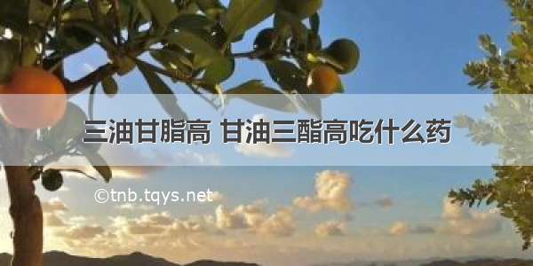 三油甘脂高 甘油三酯高吃什么药