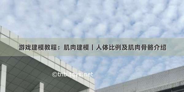 游戏建模教程：肌肉建模丨人体比例及肌肉骨骼介绍