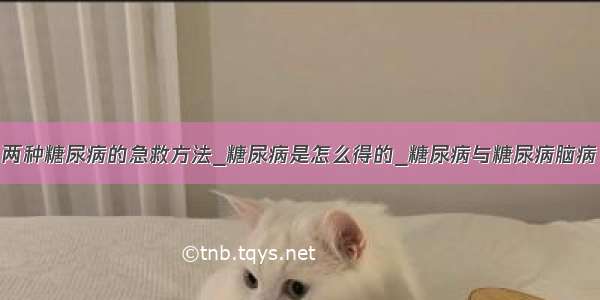 两种糖尿病的急救方法_糖尿病是怎么得的_糖尿病与糖尿病脑病