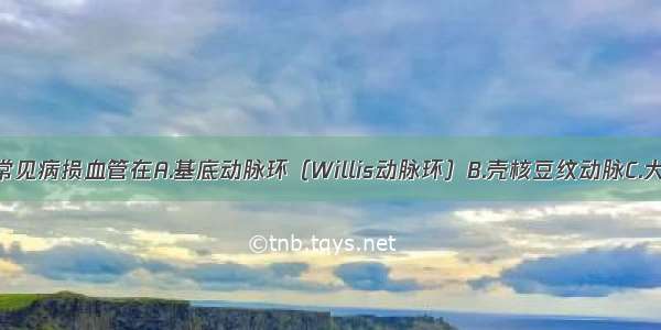 脑血栓形成常见病损血管在A.基底动脉环（Willis动脉环）B.壳核豆纹动脉C.大脑中动脉D.