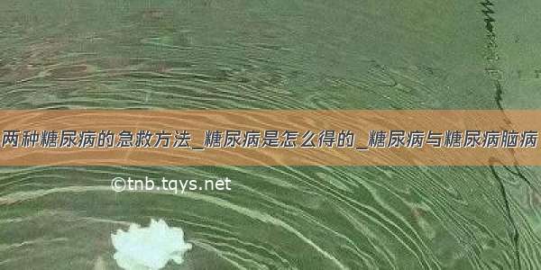 两种糖尿病的急救方法_糖尿病是怎么得的_糖尿病与糖尿病脑病