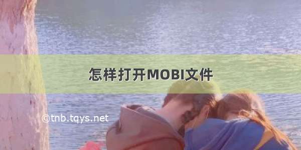 怎样打开MOBI文件