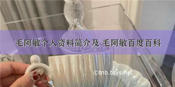 毛阿敏个人资料简介及 毛阿敏百度百科