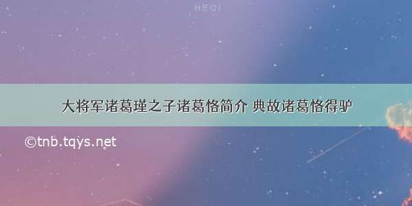 大将军诸葛瑾之子诸葛恪简介 典故诸葛恪得驴