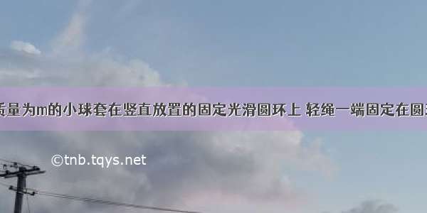 如图所示 质量为m的小球套在竖直放置的固定光滑圆环上 轻绳一端固定在圆环的顶点A 