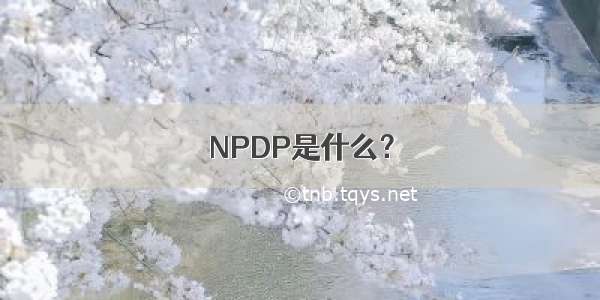 NPDP是什么？