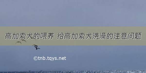 高加索犬的喂养 给高加索犬洗澡的注意问题