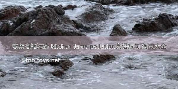 厨房油烟污染 kitchen fume pollution英语短句 例句大全