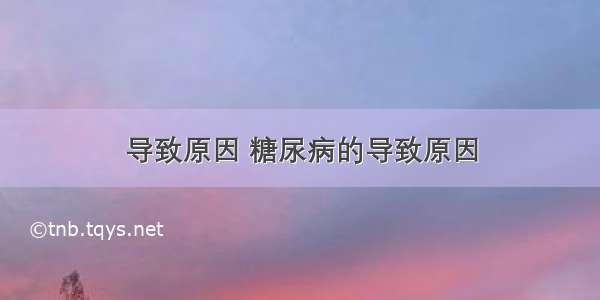 导致原因 糖尿病的导致原因