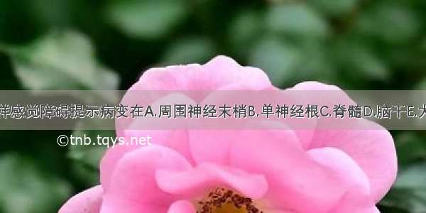 手套样和袜套样感觉障碍提示病变在A.周围神经末梢B.单神经根C.脊髓D.脑干E.大脑半球ABCDE