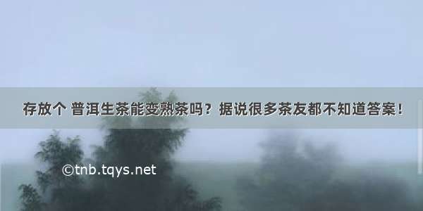 存放个 普洱生茶能变熟茶吗？据说很多茶友都不知道答案！