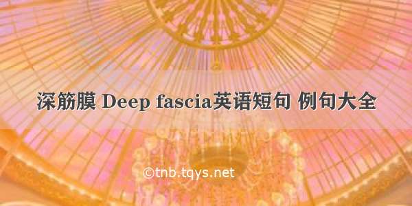 深筋膜 Deep fascia英语短句 例句大全