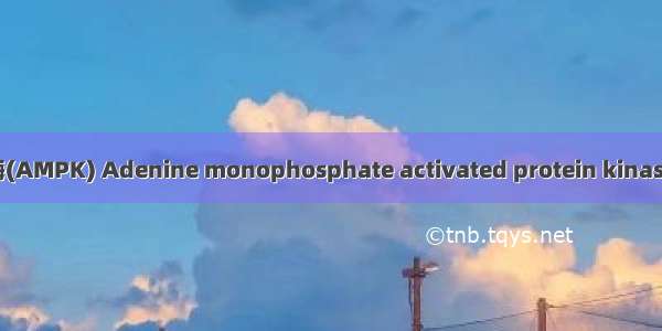 腺苷酸激活蛋白激酶(AMPK) Adenine monophosphate activated protein kinase英语短句 例句大全