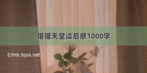 猫猫天堂读后感1000字