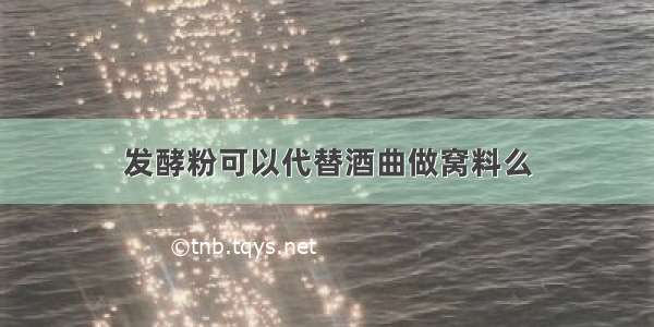 发酵粉可以代替酒曲做窝料么