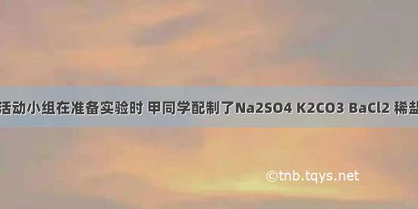 某化学兴趣活动小组在准备实验时 甲同学配制了Na2SO4 K2CO3 BaCl2 稀盐酸四种溶液