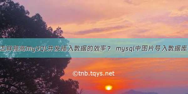 怎样提高MySQL并发插入数据的效率？ mysql中图片导入数据库