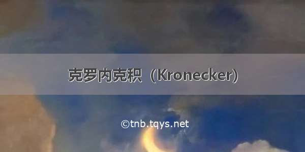 克罗内克积（Kronecker）