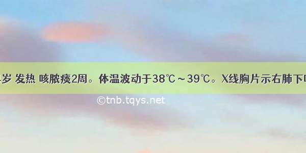 男性幼儿 4岁 发热 咳脓痰2周。体温波动于38℃～39℃。X线胸片示右肺下叶大片致密