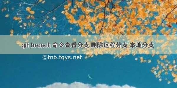 git branch 命令查看分支 删除远程分支 本地分支