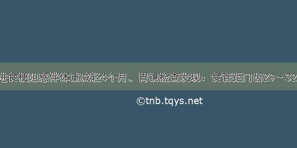 男性 62岁。进食梗阻感伴体重减轻4个月。胃镜检查发现：食管距门齿29～32cm-瘤体向腔