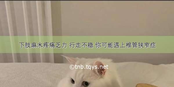 下肢麻木疼痛乏力 行走不稳 你可能遇上椎管狭窄症