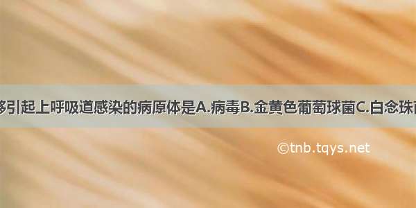 最常见的能够引起上呼吸道感染的病原体是A.病毒B.金黄色葡萄球菌C.白念珠菌D.链球菌E.