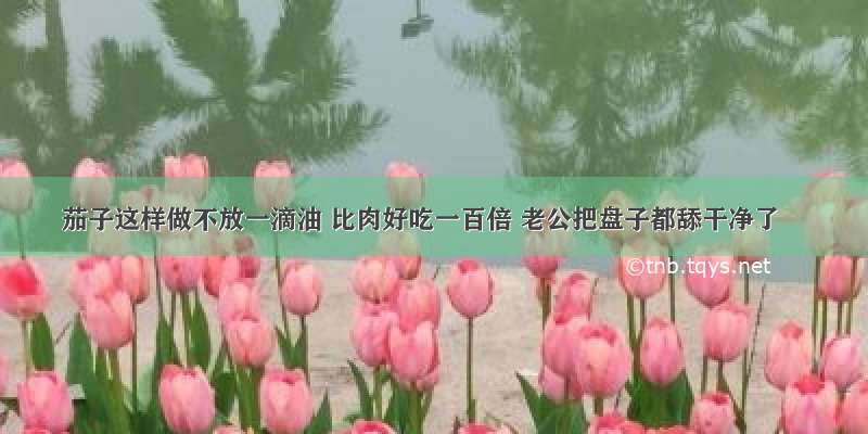 茄子这样做不放一滴油 比肉好吃一百倍 老公把盘子都舔干净了