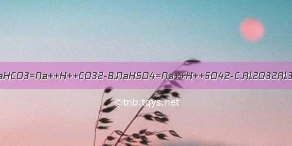 下列电离方程式错误的是A.NaHCO3=Na++H++CO32-B.NaHSO4=Na++H++SO42-C.Al2O32Al3++3O2-D.CaCO3=Ca2++