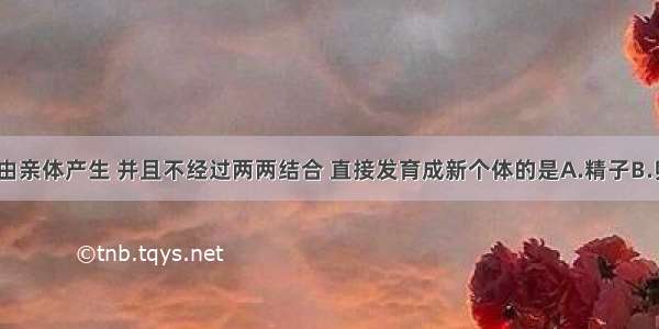 单选题由亲体产生 并且不经过两两结合 直接发育成新个体的是A.精子B.卵细胞C