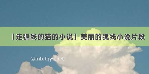 【走弧线的猫的小说】美丽的弧线小说片段