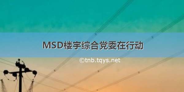 MSD楼宇综合党委在行动