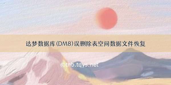 达梦数据库(DM8)误删除表空间数据文件恢复