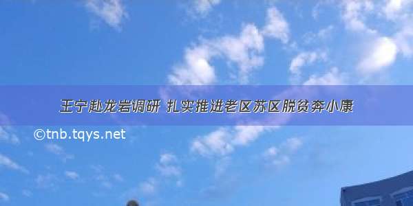 王宁赴龙岩调研 扎实推进老区苏区脱贫奔小康