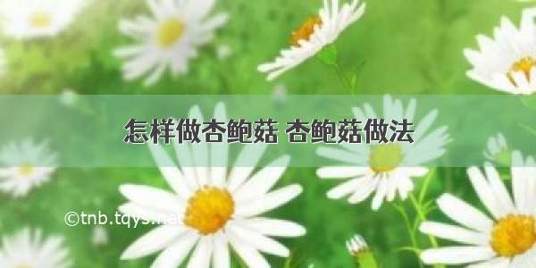 怎样做杏鲍菇 杏鲍菇做法