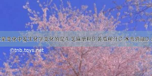 生活中常见变化中发生化学变化的是A.芝麻磨粉B.黄瓜榨汁C.冰雪消融D.大米酿酒