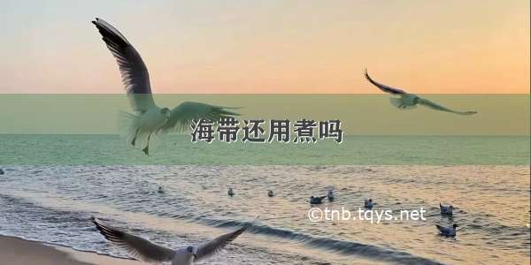 海带还用煮吗