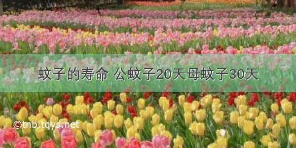 蚊子的寿命 公蚊子20天母蚊子30天