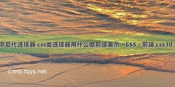 css选择器中后代选择器 css类选择器用什么做前缀表示 – CSS – 前端 css td text-align