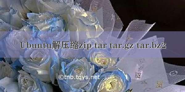 Ubuntu解压缩zip tar tar.gz tar.bz2